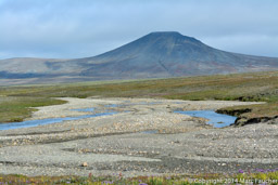 Near Tundra Hut, Wrangel Island