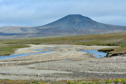 Near Tundra Hut, Wrangel Island