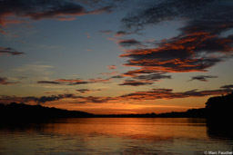 Sunset over Lake Mamiraua