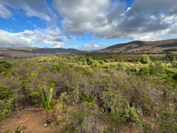View from Black Lemur Camp