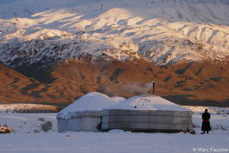 Snow Leopard Camp