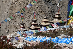 Chortens at Tashi Lhakhang Gompa