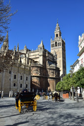 Old Seville